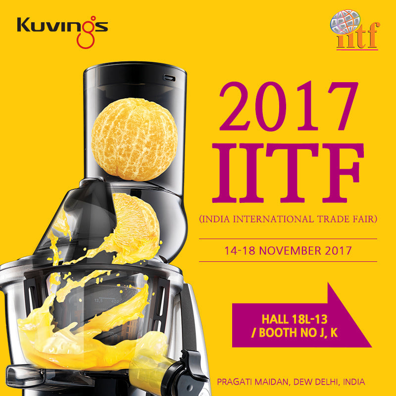 India 2017 IITF(India International Trade Fair)