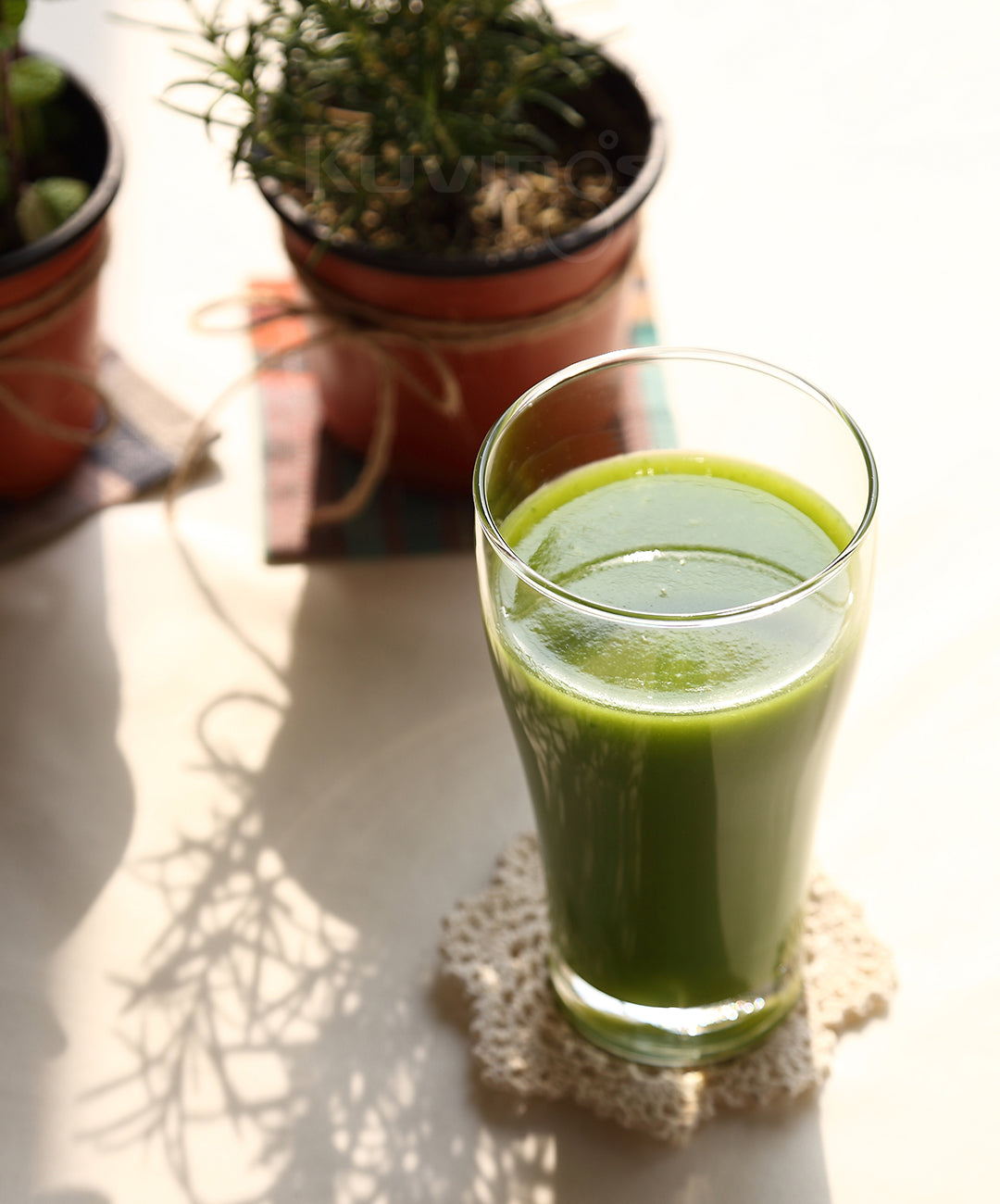 Celebrity Celery Juice