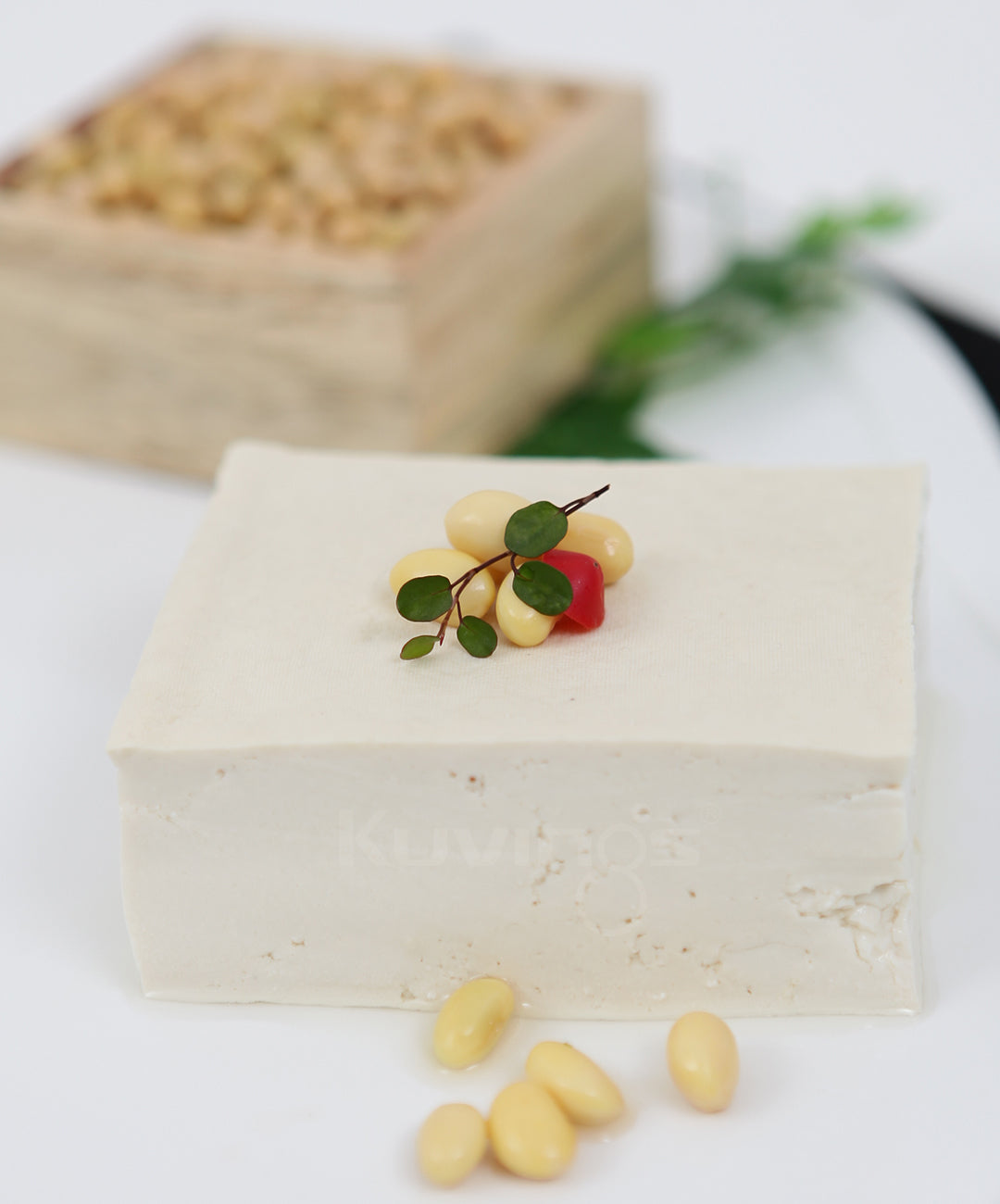 Home-Made Tofu